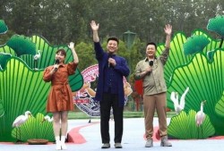 哈利克最新爆料视频,揭秘神秘事件内幕
